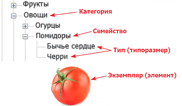 Пояснение на помидорах