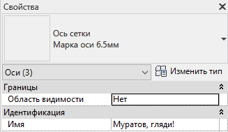 Выделили несколько осей, вместо пустого поля в параметре «Имя» — указанное в настройках значение